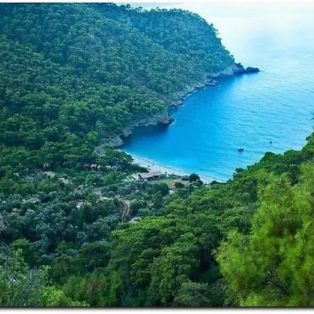 Hotel Montenegro *